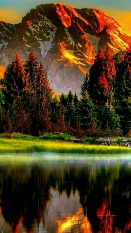 Nature.