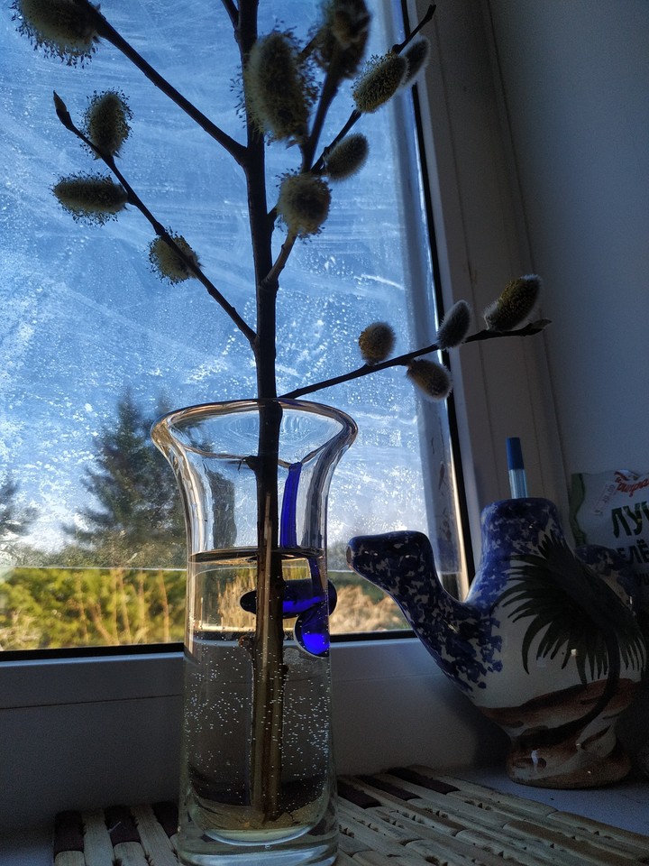 Space on the windowsill
