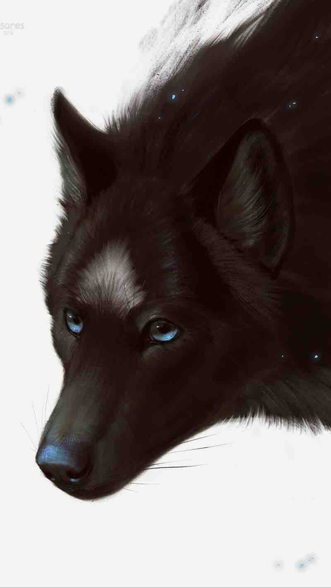 wolf
