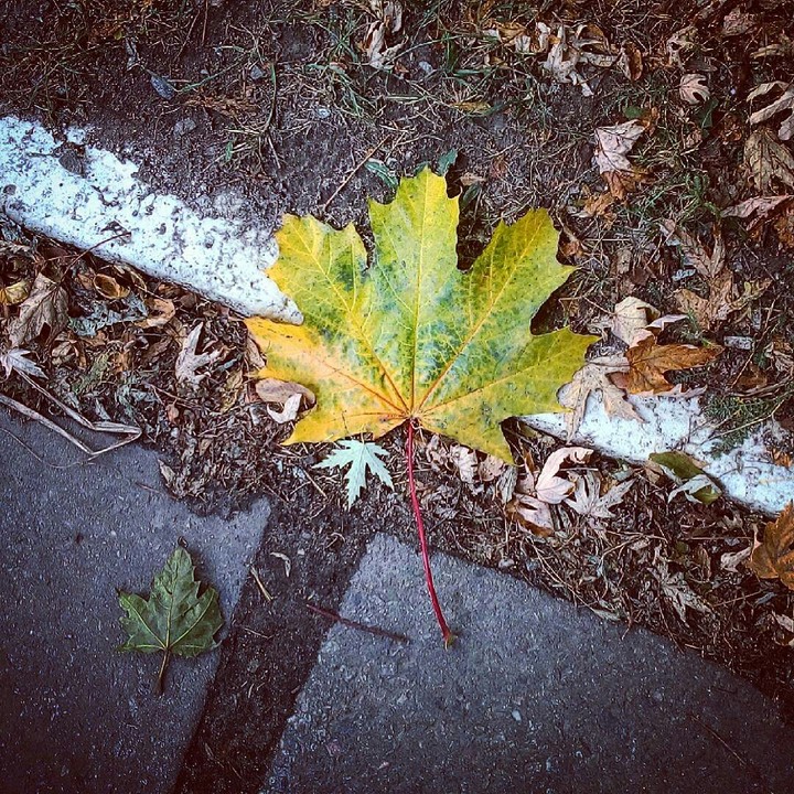 Autumn