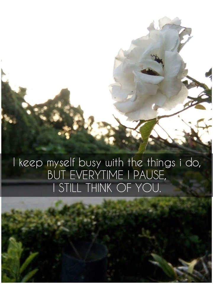 quotes