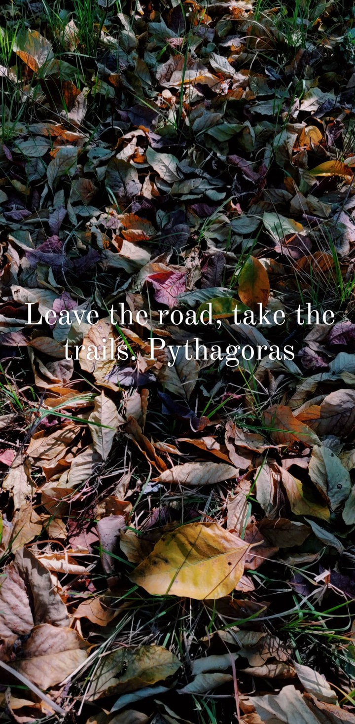 leave the road..