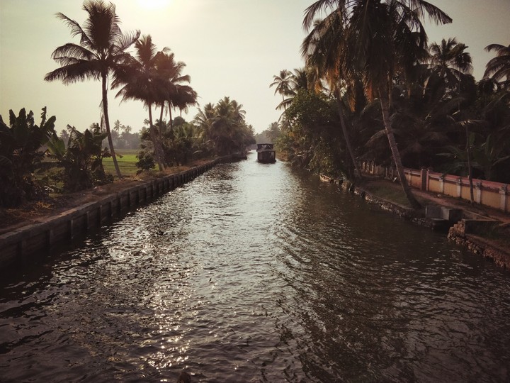 freshwaters
