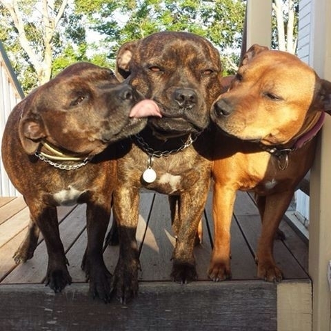 ♥️♥️♥️