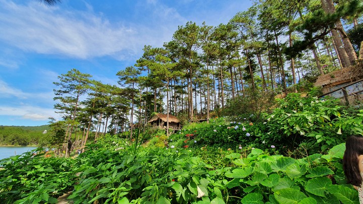 Da Lat