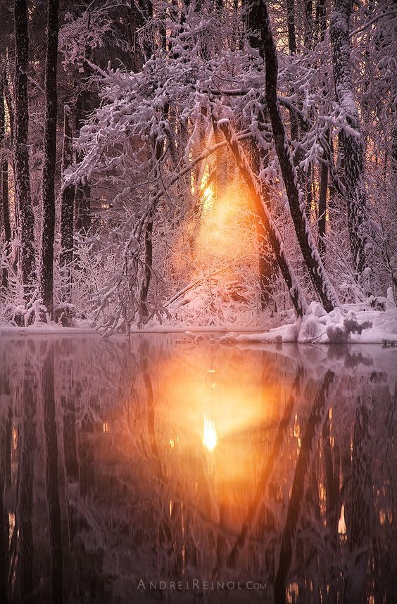Winter sunshine