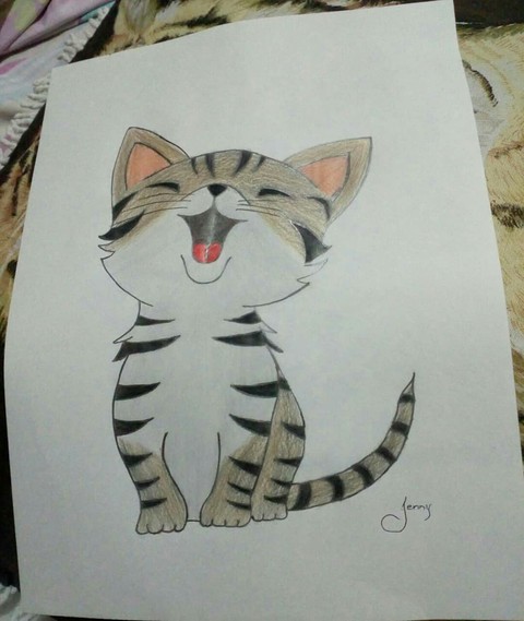 Cat