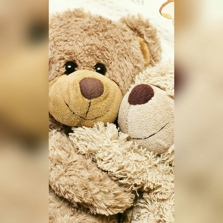 Teddy Bear Love