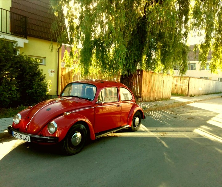 Red Bug