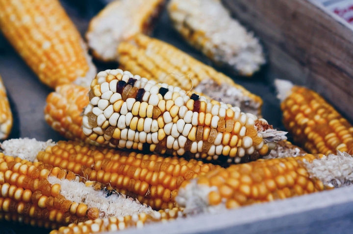 corn