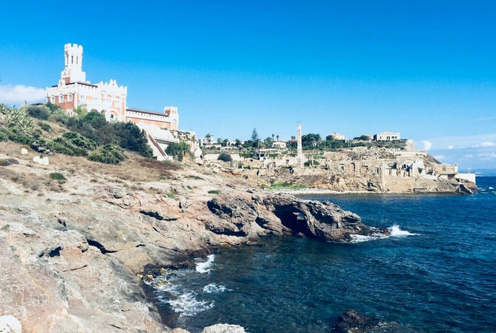 mare