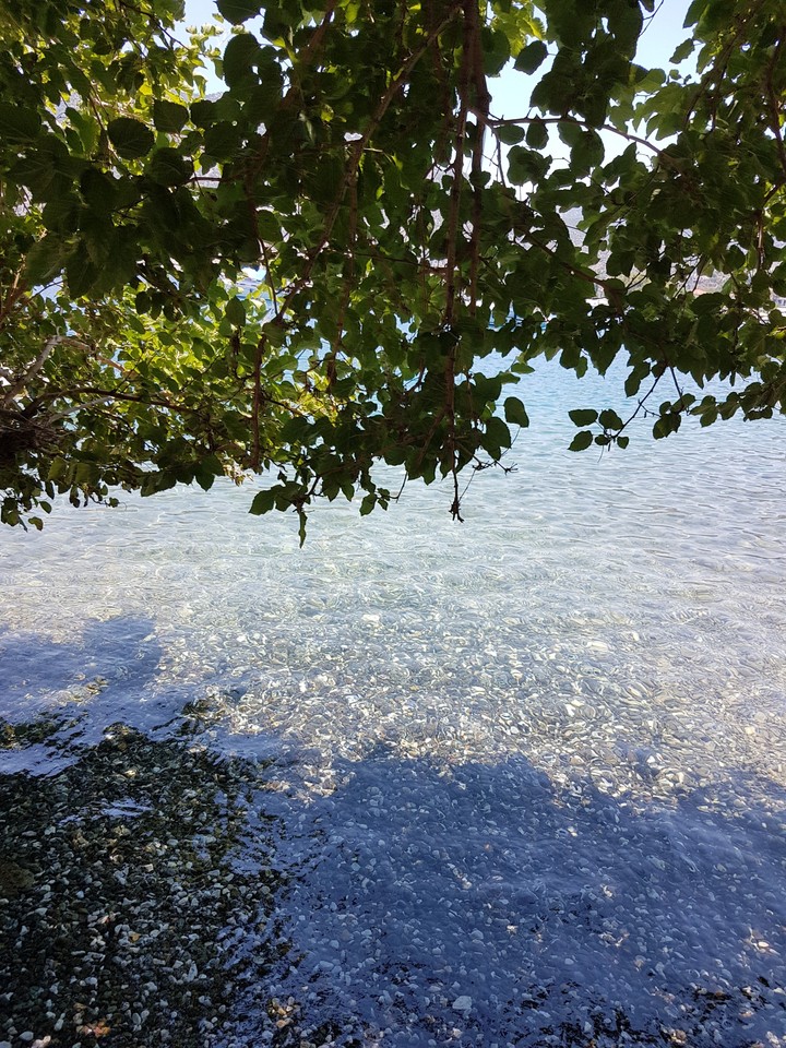 nature