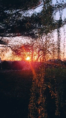 Beautiful Evening