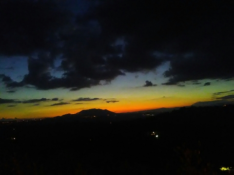 Colori