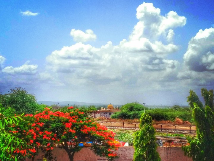 The GulMohar