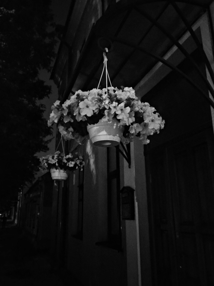 flowers on street