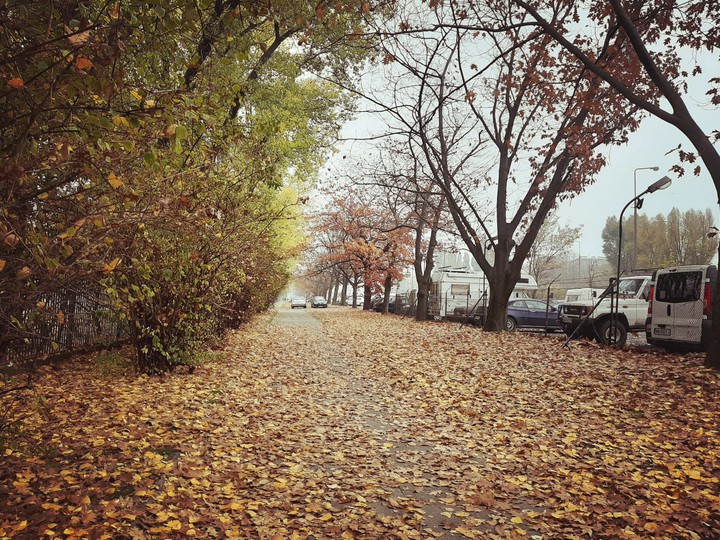 Autumn 2019