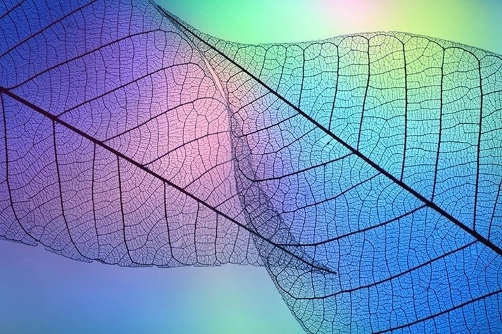 colourful