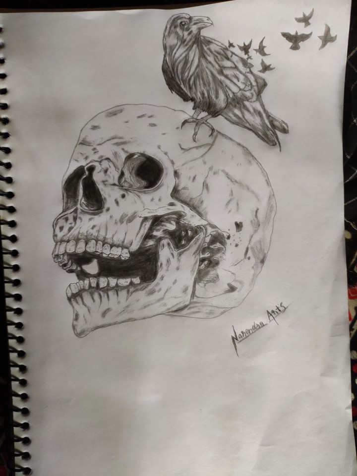 skull head