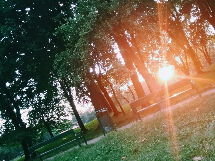 Sunny day