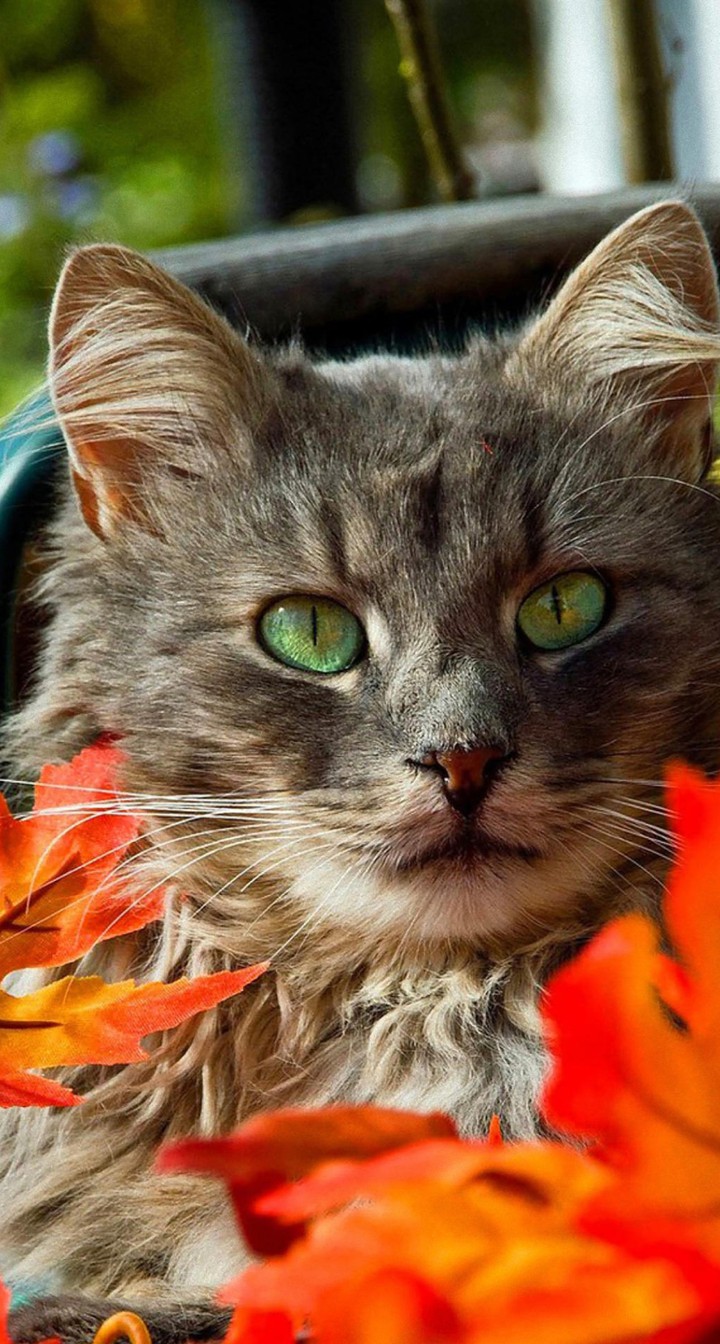 ❤️❤️❤️