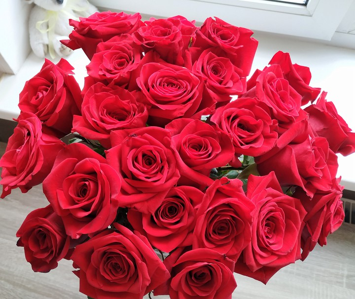 red roses