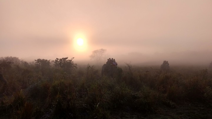 Early morning view of the Kaziranga National Park