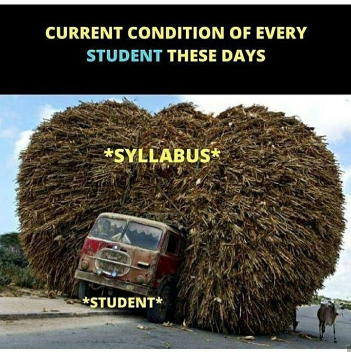 student stuff