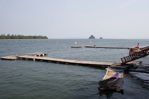 Scenics