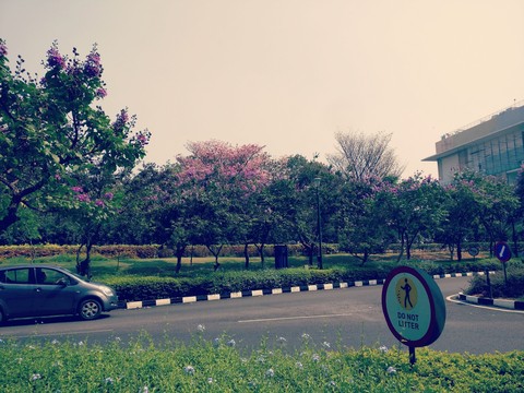 green