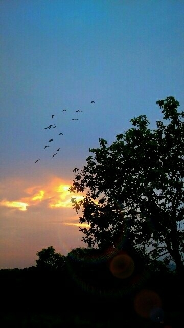 Lovely nature