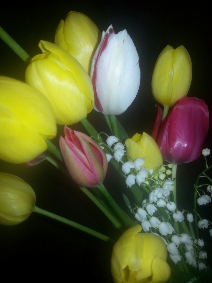Flowers