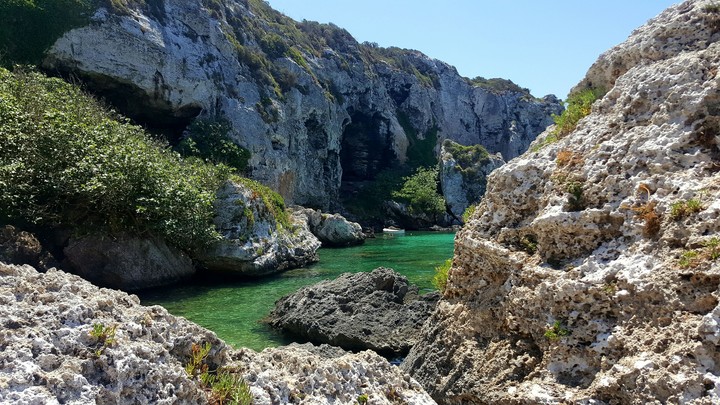 Rocky Sights
