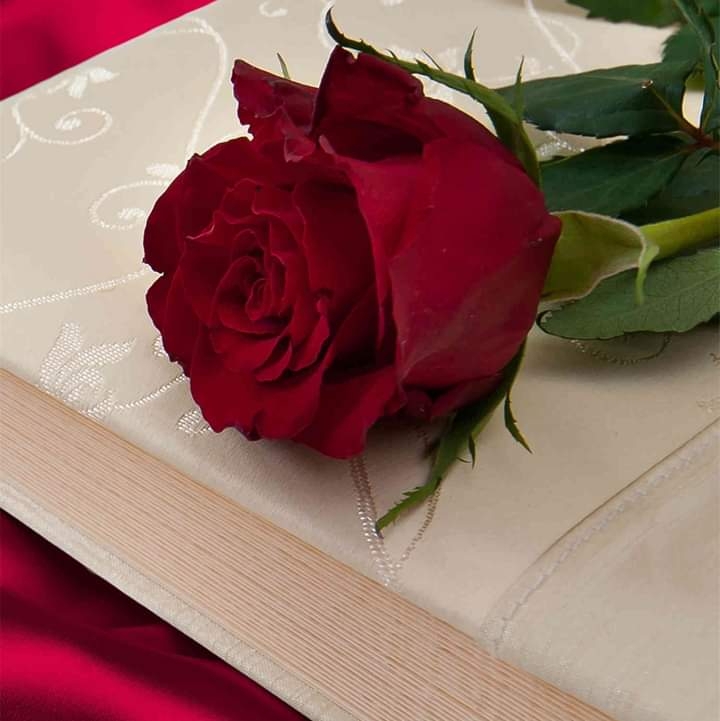 Red Rose on a Book