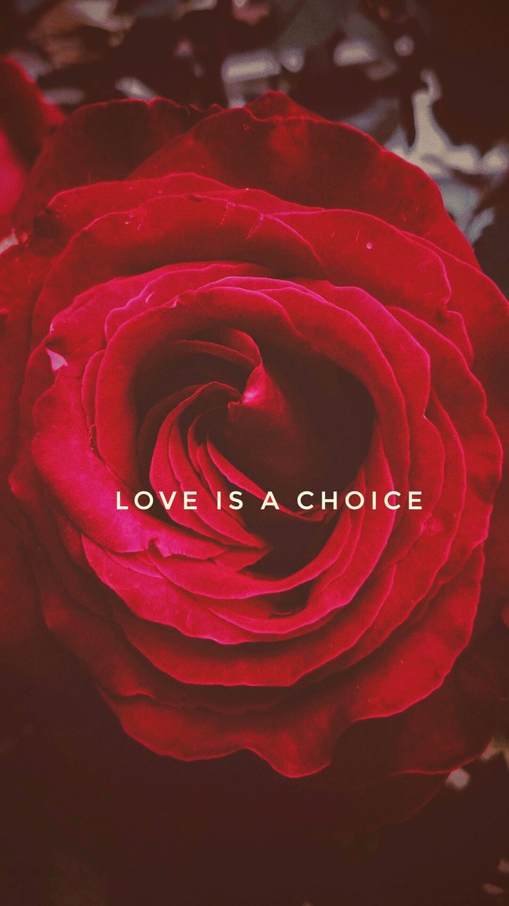I choose to love my man