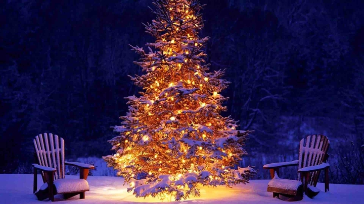 Isn’t it festive?