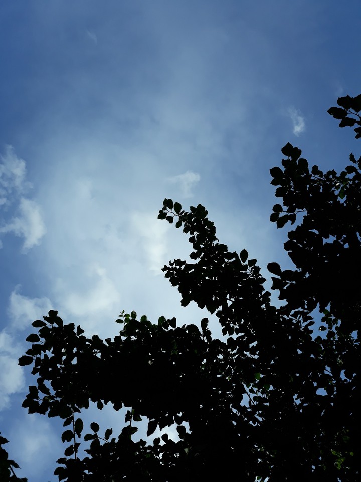 sky