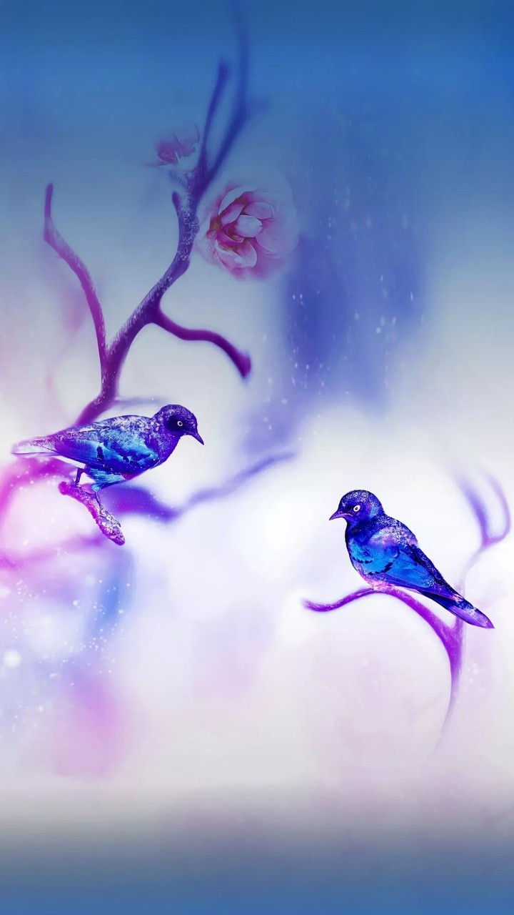 bird