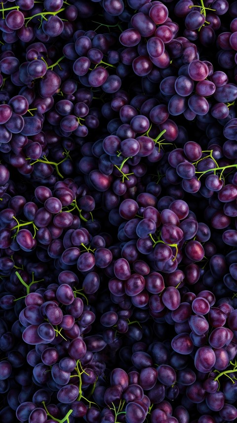 fondos de pantalla grapes, grape