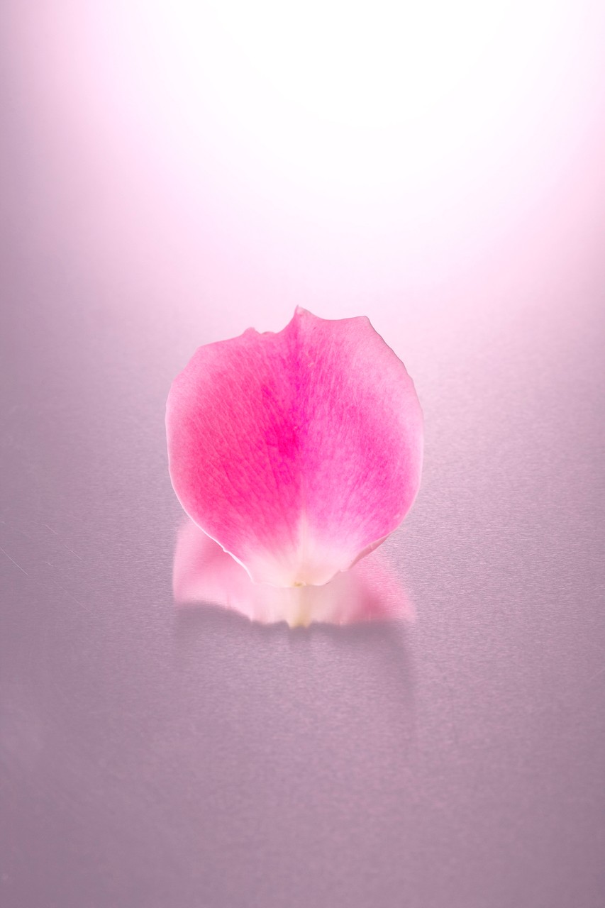 Pink Petal