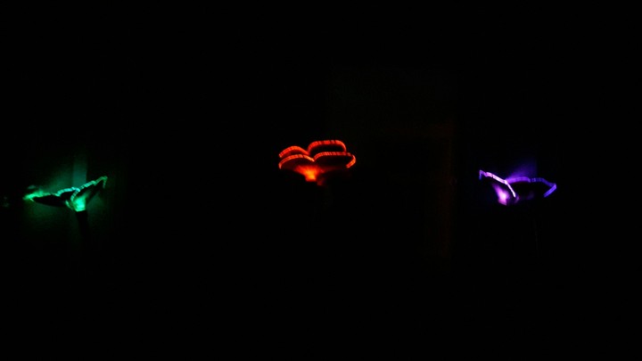 light in the night 