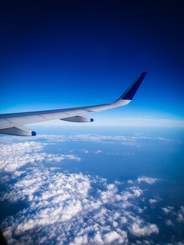 fly