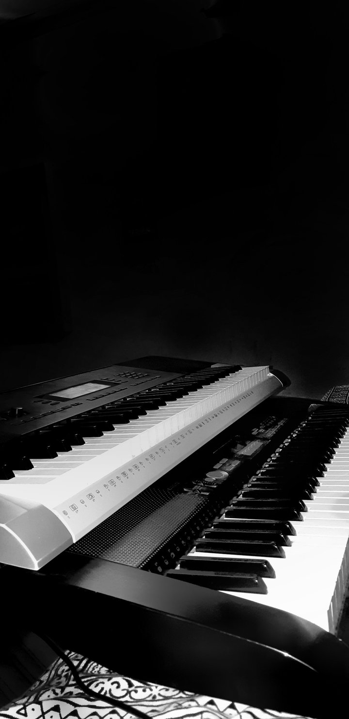 Music Lover