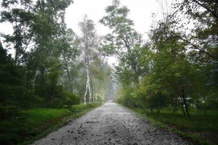 Walk with me