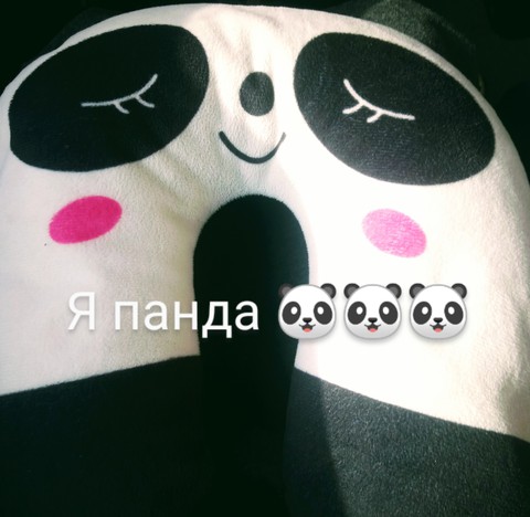 панда