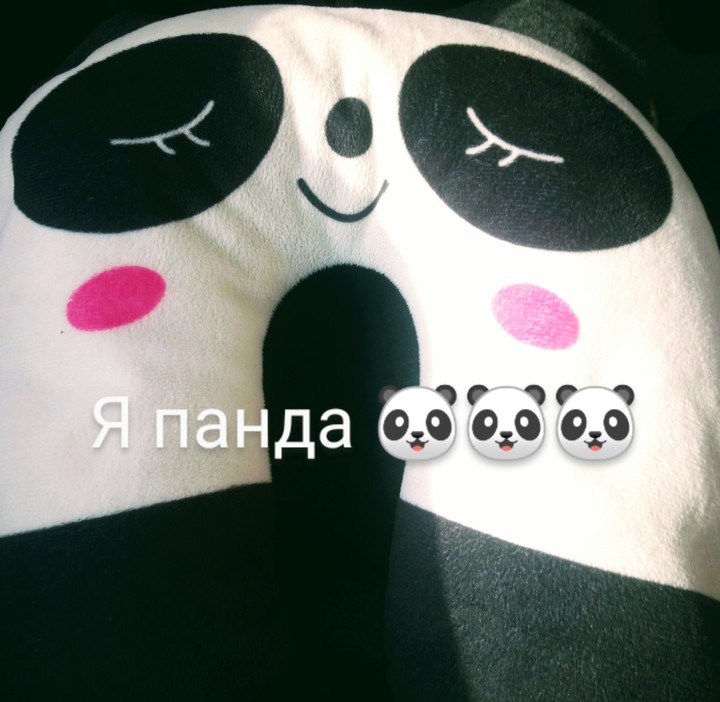 панда