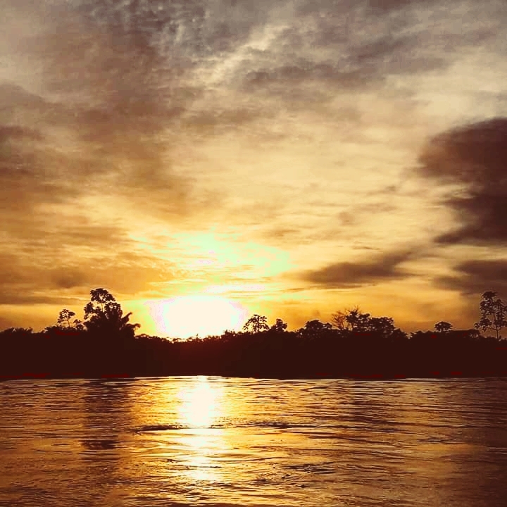 Amazônia Brasileira