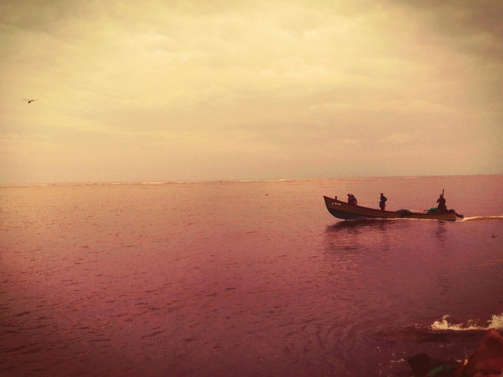 fishing boat in sea