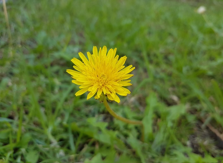 nature #perfect #perfectcolors
