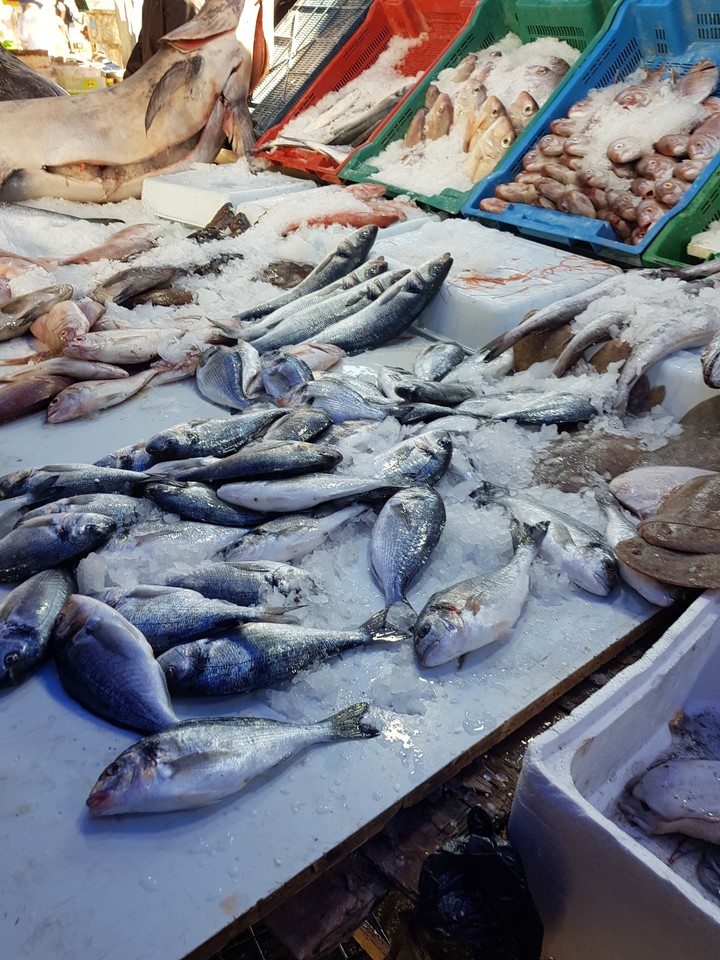 fish